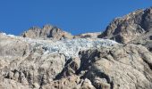 Randonnée Marche Vallouise-Pelvoux - le refuge glacier blanc et le point de vue sur la barre - Photo 16