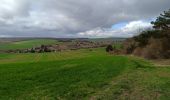 Tour Wandern Bucey-en-Othe - Balade autour de Bicey - Photo 3