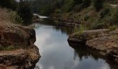 Percorso Marcia Bagnols-en-Forêt - SAINT PAUL EN FORÊT - VERS LE LAC DE MEAULX - Photo 10