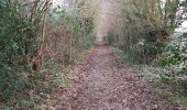 Tour Wandern Valorbiquet - Aux alentours de St Cyr du Ronceray  - Photo 19