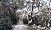 Randonnée Marche Évenos - col de garde destel - Photo 7