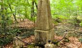 Trail On foot Fontainebleau - Fontainebleau les monts de Fay - Photo 1