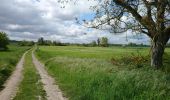 Randonnée Marche Fondettes - Fondettes - Sentier Aubrière-Gâtine - 9.6km 110m 2h00 - 2019 05 05 - Photo 1