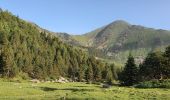 Tocht Stappen Fontpédrouse - Refuges Ras Carança - Ulldeter via col del Geant  - Photo 3