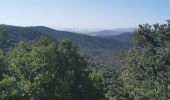 Excursión Senderismo Hyères - les Borel les 2 - Photo 2