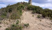 Trail On foot Cassis - Couronne de Charlemagne-10-04-24 - Photo 5