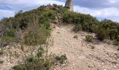 Tocht Te voet Cassis - Couronne de Charlemagne-10-04-24 - Photo 5