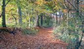 Randonnée Marche Genappe - Bois de Ways Ruart, à l’envers - Photo 13