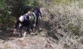 Excursión Senderismo Châteauneuf-sur-Isère - Châteauneuf/isere - Photo 15