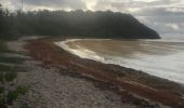 Trail Nordic walking Sainte-Anne - Fond grand ma  modette le littoral  - Photo 3