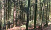 Trail Walking Plateau d'Hauteville - Hauteville  - Photo 7