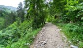 Tour Wandern Saint-Christophe-sur-Guiers - Petit Som 8 km - Photo 2