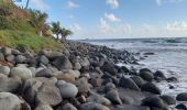 Tocht Stappen Unknown - Plage de Grande Anse Le Lorrain - Photo 9