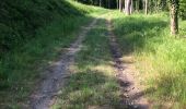 Trail Walking Anthisnes - Vien adeps 11Km - Photo 4