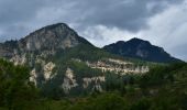 Randonnée Marche Castellane - Clot d'Aremus - Chasteuil - Chapelle St Jean - Castellane - Photo 2