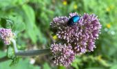 Tour Wandern Saint-Pierre-de-Chartreuse - Le charmant Som en Boucle - Photo 1