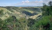 Excursión Senderismo Chauchailles - sentier des espagnols  - Photo 19