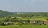 Tour Wandern Theux - 20220509 - Château de Franchimont 7.6 Km - Photo 18