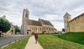 Randonnée Marche Verneuil-l'Étang - Le tour du grand Paris via le GR1 Etape 12 Verneuil l'Etang- Melun - Photo 12