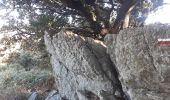 Trail Walking Banyuls-sur-Mer - 22 08 / 8-9-10 Oli40 - épisode 1 - Photo 14