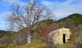 Randonnée Marche Lucéram - Luceram - Col de l'Orme et retour - Photo 4