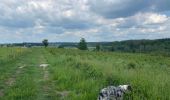 Trail Walking Neufchâteau - Tronquoy - Respelt - Photo 2