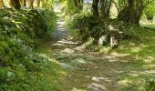 Trail Walking Lavaldens - Le Mollard - Lac Rif Bruyant 01/10/2023 - Photo 9