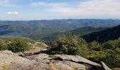 Tour Wandern Fraisse-sur-Agout - Lac de Vésoles - Photo 1