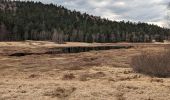 Excursión Senderismo La Bresse - 2023-04-15 Marche Abri Collet de Etang vers Abri Lac de Blanchemer - Photo 5