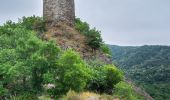 Randonnée A pied Pampelonne - Ciruit du Château de Thuriès et du Viaur - Photo 2