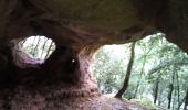 Tocht Stappen Trémolat - Grotte - Photo 2
