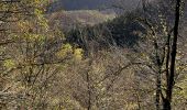 Randonnée Marche Houffalize - Engreux 021122 - Photo 20