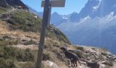 Trail Walking Les Houches - Le Merlet,Bellachat,aigulkette des Houches retour par chalets Chailloux - Photo 11