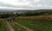 Excursión Senderismo Château-Thierry - Château-Thierry du 20-10-2024 - Photo 6