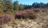 Trail Walking Fontainebleau - les grands feullards - Photo 2