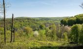 Tour Zu Fuß Kalletal - Luhbachweg - Photo 9