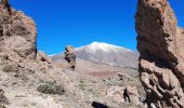 Tocht Te voet La Orotava - S-9 Sendero Teide-Pico Viejo–Mirador de las Narices del Teide - Photo 1