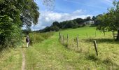 Tour Wandern Huldenberg - Huldenberg Terlanen site naturel Lasne - Photo 20