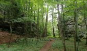 Tour Wandern Waldbillig - Mullerthal randonnée magnifique - Photo 9