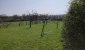 Randonnée Marche Clichy-sous-Bois - chevaux et dhyus - Photo 6