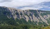 Trail Trail Noyers-sur-Jabron - Tour de Pellegrine - Photo 8