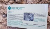 Trail Walking Moustiers-Sainte-Marie - grotte de st Maurin - Photo 13