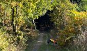 Tour Wandern Libramont-Chevigny - Libramont Bois de Bernihé parcours BD - Photo 4