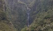 Excursión Senderismo Calheta - Madère : de Rabaçal vers les 25 sources - Photo 19