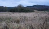 Tocht Te voet Sulzfeld - Biergartenwanderweg - Photo 10