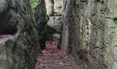 Tocht Stappen Echternach - A travers les rochers du Luxembourg  - Photo 3