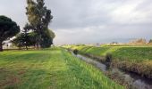 Percorso A piedi Ponte Buggianese - Valle del Pescia - Il trekking lungo il fiume - Photo 9