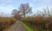 Tocht Stappen Jalhay - eglise de nivezé, balade losange jaune  - Photo 18