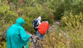 Tocht Stappen Monieux - Gorges de la Nesque - Photo 13