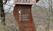 Trail Walking Sare - Lizarrieta,  Zentinel, col des 3 bornes,  2024 03 04. - Photo 15